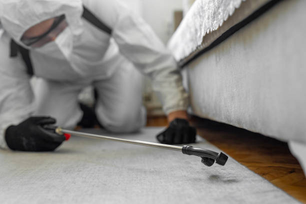 Professional Termite Control technician working in Grant, AL