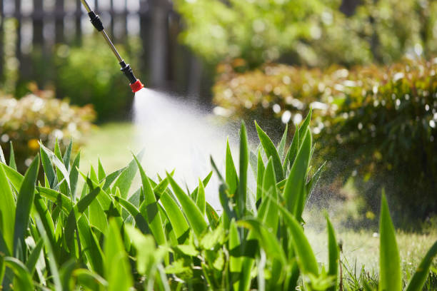 24/7 Emergency Termite Control experts in Grant, AL